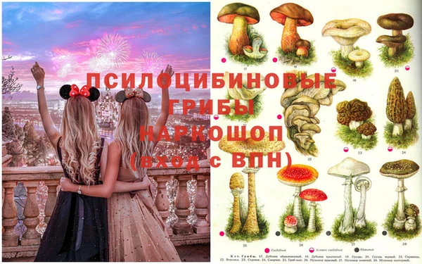 МДМА Анжеро-Судженск