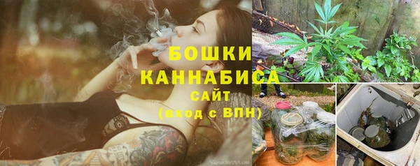 мдпв Медногорск